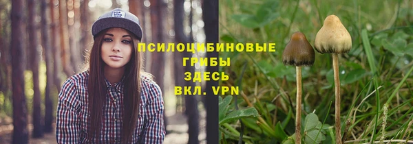 скорость Богородицк