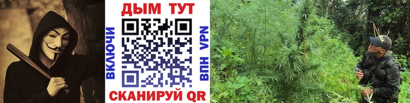 что такое Печоры Шишки марихуана VHQ